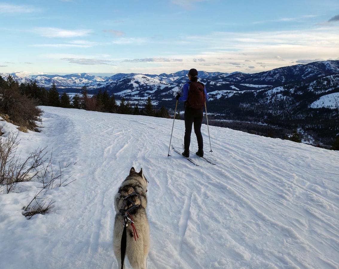 An Unexpected Twisp Exteriör bild